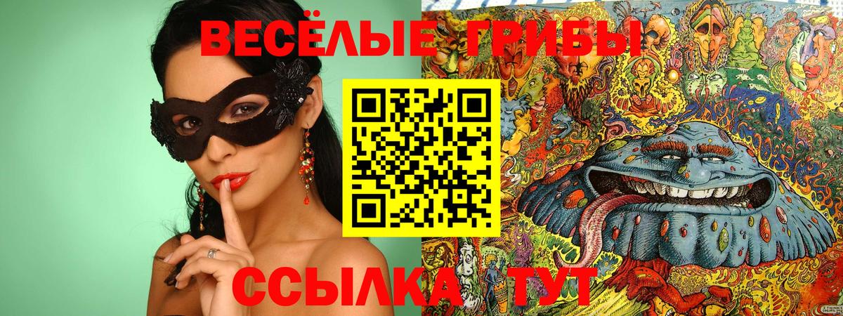 Северобайкальск  Галлюциногенные грибы MAGIC MUSHROOMS  Вход с VPN 